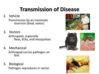 Transmission of Disease
2. Vehicle
   Transmission by an inanimate
       reservoir (food, water)

3. Vectors
   Arthropods, especially
       fleas, ticks, and mosquitoes

4. Mechanical
   Arthropod carries pathogen on
       feet

5. Biological
   Pathogen reproduces in vector
 
