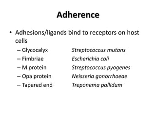 Adherence
• Adhesions/ligands bind to receptors on host
  cells
  – Glycocalyx       Streptococcus mutans
  – Fimbriae         Escherichia coli
  – M protein        Streptococcus pyogenes
  – Opa protein      Neisseria gonorrhoeae
  – Tapered end      Treponema pallidum
 