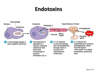 Endotoxins




             Figure 15.6
 