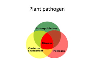 Plant pathogen
 