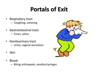 Portals of Exit
• Respiratory tract
   – Coughing, sneezing

• Gastrointestinal tract
   – Feces, saliva

• Genitourinary tract
   – Urine, vaginal secretions

• Skin

• Blood
   – Biting arthropods, needles/syringes
 