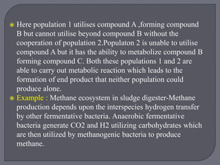  Here population 1 utilises compound A ,forming compound
B but cannot utilise beyond compound B without the
cooperation of population 2.Populaton 2 is unable to utilise
compound A but it has the ability to metabolize compound B
forming compound C. Both these populations 1 and 2 are
able to carry out metabolic reaction which leads to the
formation of end product that neither population could
produce alone.
 Example : Methane ecosystem in sludge digester-Methane
production depends upon the interspecies hydrogen transfer
by other fermentative bacteria. Anaerobic fermentative
bacteria generate CO2 and H2 utilizing carbohydrates which
are then utilized by methanogenic bacteria to produce
methane.
 