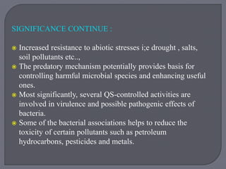 SIGNIFICANCE CONTINUE :
 Increased resistance to abiotic stresses i;e drought , salts,
soil pollutants etc..,
 The predatory mechanism potentially provides basis for
controlling harmful microbial species and enhancing useful
ones.
 Most significantly, several QS-controlled activities are
involved in virulence and possible pathogenic effects of
bacteria.
 Some of the bacterial associations helps to reduce the
toxicity of certain pollutants such as petroleum
hydrocarbons, pesticides and metals.
 