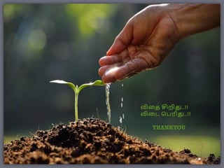விதை சிறிது..!!
விதை பெரிது..!!
THANKYOU
 