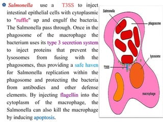 Microbial Invasions microbial invasion .pptx