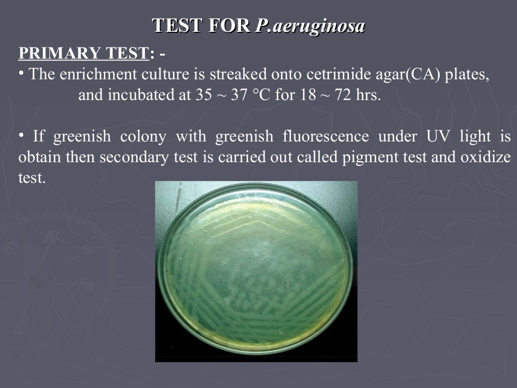 Microbial limit test