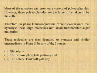 Most of the microbes can grow on a variety of polysaccharides.
However, these polysaccharides are too large to be taken up by
the cells.
Therefore, in phase I microorganisms excrete exoenzymes that
hydrolyse these large molecules into small transportable sugar
molecules.
These molecules are then degraded to pyruvate and similar
intermediates in Phase II by any of the 3 routes:
(i) Glycolysis
(ii) The pentose phosphate pathway and
(iii) The Enter- Doudoroff pathway.
 