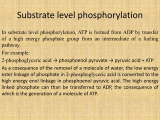 Substrate level phosphorylation
In substrate level phosphorylation, ATP is formed from ADP by transfer
of a high energy phosphate group from an intermediate of a fueling
pathway.
For example:
2-phosphoglyceric acid → phosphoenol pyruvate → pyruvic acid + ATP
As a cosequence of the removal of a molecule of water, the low energy
ester linkage of phosphate in 2-phosphoglyceric acid is converted to the
high energy enol linkage in phosphoenol pyruvic acid. The high energy
linked phosphate can than be transferred to ADP, the consequence of
which is the generation of a molecule of ATP.
 