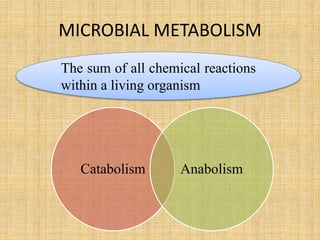 MICROBIAL METABOLISM
The sum of all chemical reactions
within a living organism
Catabolism Anabolism
 