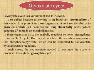Glyoxylate cycle
Glyoxylate cycle is a variation of the TCA cycle.
It is so called because glyoxylate is an important intermediate of
this cycle. It is present in those organisms, who have the ability to
grow on acetate (a C2 compd) and long chain fatty acids (which
generate C2 compds on metabolism) etc.
In these organisms also, the anabolic reactions remove intermediates
from the TCA cycle. But they do not have three carbon compounds
like phosphoenolpyruvate, which can be converted to oxaloacetate
by anapleurotic reactions.
In such cases, the oxaloacetate needed to continue the cycle is
produced through the glyoxylate cycle.
 