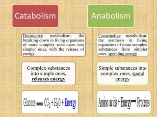 Catabolism
Destructive metabolism; the
breaking down in living organisms
of more complex substances into
simpler ones, with the release of
energy
Complex substances
into simple ones,
releases energy
Anabolism
Constructive metabolism;
the synthesis in living
organisms of more complex
substances from simpler
ones, spending energy
Simple substances into
complex ones, spend
energy
 