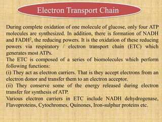 Electron Transport Chain
During complete oxidation of one molecule of glucose, only four ATP
molecules are synthesized. In addition, there is formation of NADH
and FADH2, the reducing powers. It is the oxidation of these reducing
powers via respiratory / electron transport chain (ETC) which
generates most ATPs.
The ETC is composed of a series of biomolecules which perform
following functions:
(i) They act as electron carriers. That is they accept electrons from an
electron donor and transfer them to an electron acceptor.
(ii) They conserve some of the energy released during electron
transfer for synthesis of ATP.
Various electron carriers in ETC include NADH dehydrogenase,
Flavoproteins, Cytochromes, Quinones, Iron-sulphur proteins etc.
 