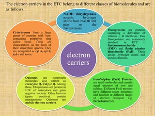 electron
carriers
NADH dehydrgenase
accepts hydrogen
atoms from NADH and
pass to the
flavoproteins. Flavoproteins are proteins
containing a derivative of
vitamin – B riboflavin. Two
flavoproteins are commonly
involved in ETC –
flavinmononucleotide
(FMN) and flavin adenine
dinucleotide (FAD). These
accept hydrogen atoms and
donate electrons.
Iron-Sulphur (Fe-S) Proteins
are small molecules and contain
equal amounts of iron and
sulphur. Different Fe-S proteins
have different redox potentials
and function at different stages
of electron transport e.g.
Ferredoxin (Fd).
Quinones are nonprotein
molecules, also written as
coenzyme Q, CoQ or Q. Among
these, Ubiquinones are present in
ETC of eukarytoes and gram
negative bacteria. Other bacteria
(gram positive) contain
menaquinone. Quinones are
mobile electron carriers.
Cytochromes form a large
group of proteins with iron-
containing porphyrin ring
called heme. These are
characterized on the basis of
their absorption spectra. They
are designated as cyt a, cyt b,
cyt c and so on.
The electron carriers in the ETC belong to different classes of biomolecules and are
as follows:
 