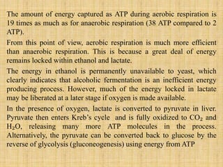 The amount of energy captured as ATP during aerobic respiration is
19 times as much as for anaerobic respiration (38 ATP compared to 2
ATP).
From this point of view, aerobic respiration is much more efficient
than anaerobic respiration. This is because a great deal of energy
remains locked within ethanol and lactate.
The energy in ethanol is permanently unavailable to yeast, which
clearly indicates that alcoholic fermentation is an inefficient energy
producing process. However, much of the energy locked in lactate
may be liberated at a later stage if oxygen is made available.
In the presence of oxygen, lactate is converted to pyruvate in liver.
Pyruvate then enters Kreb’s cycle and is fully oxidized to CO₂ and
H₂O, releasing many more ATP molecules in the process.
Alternatively, the pyruvate can be converted back to glucose by the
reverse of glycolysis (gluconeogenesis) using energy from ATP
 