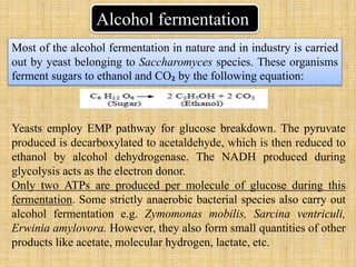 Alcohol fermentation
Most of the alcohol fermentation in nature and in industry is carried
out by yeast belonging to Saccharomyces species. These organisms
ferment sugars to ethanol and CO₂ by the following equation:
Yeasts employ EMP pathway for glucose breakdown. The pyruvate
produced is decarboxylated to acetaldehyde, which is then reduced to
ethanol by alcohol dehydrogenase. The NADH produced during
glycolysis acts as the electron donor.
Only two ATPs are produced per molecule of glucose during this
fermentation. Some strictly anaerobic bacterial species also carry out
alcohol fermentation e.g. Zymomonas mobilis, Sarcina ventriculi,
Erwinia amylovora. However, they also form small quantities of other
products like acetate, molecular hydrogen, lactate, etc.
 