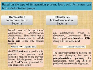 Based on the type of fermentation process, lactic acid fermenters can
be divided into two groups.
Homolactic /
homofermentative
bacteria
Include most of the species of
Lactobacillus, Streptococcus,
Pediococcus. They carry out a
simple fermentation in which
lactic acid is the only product
formed.
the EMP pathway is used in this
process. The pyruvic acid
formed is reduced by the enzyme
lactate dehydrogenase to lactic
acid. 2 ATPs are generated for
one glucose molecule.
Heterolactic /
heterofermentative
bacteria
e.g. Lactobacillus brevis, L.
fermentum, Leuconostoc. These
bacteria produce ethanol and CO₂
along with the lactic acid
The heterofermentative bacteria do
not use glycolysis, but use a
phosphoketolase pathway for
fermentation. Only one ATP is
produced per molecule of glucose.
 