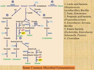 1. Lactic acid bacteria
(Streptococcus,
Lactobacillus), Bacillus
2. Yeast, Zymomonas
3. Propionic acid bacteria
(Propionibacterium)
4. Enterobacter, Serratia,
Bacillus
5. Enteric bacteria
(Escherichia, Enterobacter,
Salmonella, Proteus)
6. Clostridium
Some Common Microbial Fermentations
 