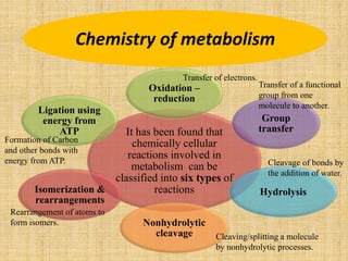 Chemistry of metabolism
It has been found that
chemically cellular
reactions involved in
metabolism can be
classified into six types of
reactions
Oxidation –
reduction
Group
transfer
Hydrolysis
Nonhydrolytic
cleavage
Isomerization &
rearrangements
Ligation using
energy from
ATP
Transfer of electrons.
Transfer of a functional
group from one
molecule to another.
Cleavage of bonds by
the addition of water.
Cleaving/splitting a molecule
by nonhydrolytic processes.
Rearrangement of atoms to
form isomers.
Formation of Carbon
and other bonds with
energy from ATP.
 
