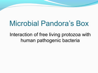 Interaction of free living protozoa with
     human pathogenic bacteria
 