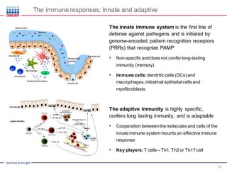 Microbial Pathogenesis and Host Immune Response | PDF
