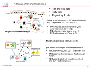 Th1 Function Microbial Pathogenesis and Host Immune Response | PDF