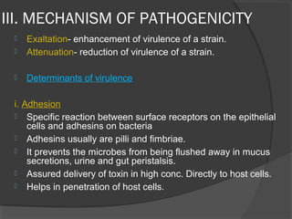 III. MECHANISM OF PATHOGENICITY
 Exaltation- enhancement of virulence of a strain.
 Attenuation- reduction of virulence of a strain.
 Determinants of virulence
i. Adhesion
 Specific reaction between surface receptors on the epithelial
cells and adhesins on bacteria
 Adhesins usually are pilli and fimbriae.
 It prevents the microbes from being flushed away in mucus
secretions, urine and gut peristalsis.
 Assured delivery of toxin in high conc. Directly to host cells.
 Helps in penetration of host cells.
 