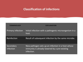 Classification of infections
TERMINOLOGY EXPLANATION
Primary infection Initial infection with a pathogenic microorganism in a
host.
Reinfection Result of subsequent infection by the same microbe.
Secondary
infection
New pathogen sets up an infection in a host whose
immunity is already lowered by a pre-existing
infection.
 