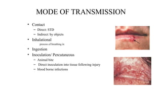 MODE OF TRANSMISSION
• Contact
– Direct: STD
– Indirect: by objects
• Inhalational
process of breathing in
• Ingestion
• Inoculation/ Percutaneous
– Animal bite
– Direct inoculation into tissue following injury
– blood borne infections
 