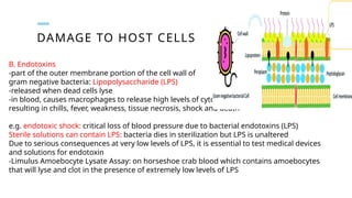 DAMAGE TO HOST CELLS
B. Endotoxins
-part of the outer membrane portion of the cell wall of
gram negative bacteria: Lipopolysaccharide (LPS)
-released when dead cells lyse
-in blood, causes macrophages to release high levels of cytokines
resulting in chills, fever, weakness, tissue necrosis, shock and death
e.g. endotoxic shock: critical loss of blood pressure due to bacterial endotoxins (LPS)
Sterile solutions can contain LPS: bacteria dies in sterilization but LPS is unaltered
Due to serious consequences at very low levels of LPS, it is essential to test medical devices
and solutions for endotoxin
-Limulus Amoebocyte Lysate Assay: on horseshoe crab blood which contains amoebocytes
that will lyse and clot in the presence of extremely low levels of LPS
 