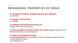 PATHOGENIC PROPERTIES OF VIRUS
D. syncytium formation (neighboring cells fuse together)
e.g. Varicella
E. change in cell function
e.g. Measles
F. production of interferons by host cell
(triggers host immune response)
G. induce antigenic changes on host cell surface (triggers destruction of
infected cell by host immune response)
H. induce chromosomal changes
I. cell transformation: may activate or deliver oncogenes resulting in loss of
contact inhibition (cancer)
e.g. Papilloma virus
 