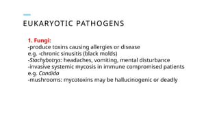 EUKARYOTIC PATHOGENS
1. Fungi:
-produce toxins causing allergies or disease
e.g. -chronic sinusitis (black molds)
-Stachybotrys: headaches, vomiting, mental disturbance
-invasive systemic mycosis in immune compromised patients
e.g. Candida
-mushrooms: mycotoxins may be hallucinogenic or deadly
 