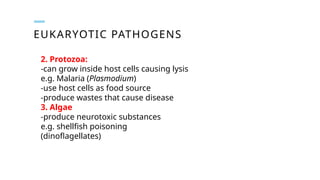 EUKARYOTIC PATHOGENS
2. Protozoa:
-can grow inside host cells causing lysis
e.g. Malaria (Plasmodium)
-use host cells as food source
-produce wastes that cause disease
3. Algae
-produce neurotoxic substances
e.g. shellfish poisoning
(dinoflagellates)
 