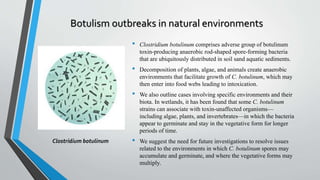 Botulism outbreaks in natural environments
• Clostridium botulinum comprises adverse group of botulinum
toxin-producing anaerobic rod-shaped spore-forming bacteria
that are ubiquitously distributed in soil sand aquatic sediments.
• Decomposition of plants, algae, and animals create anaerobic
environments that facilitate growth of C. botulinum, which may
then enter into food webs leading to intoxication.
• We also outline cases involving specific environments and their
biota. In wetlands, it has been found that some C. botulinum
strains can associate with toxin-unaffected organisms—
including algae, plants, and invertebrates—in which the bacteria
appear to germinate and stay in the vegetative form for longer
periods of time.
• We suggest the need for future investigations to resolve issues
related to the environments in which C. botulinum spores may
accumulate and germinate, and where the vegetative forms may
multiply.
Clostridium botulinum
 