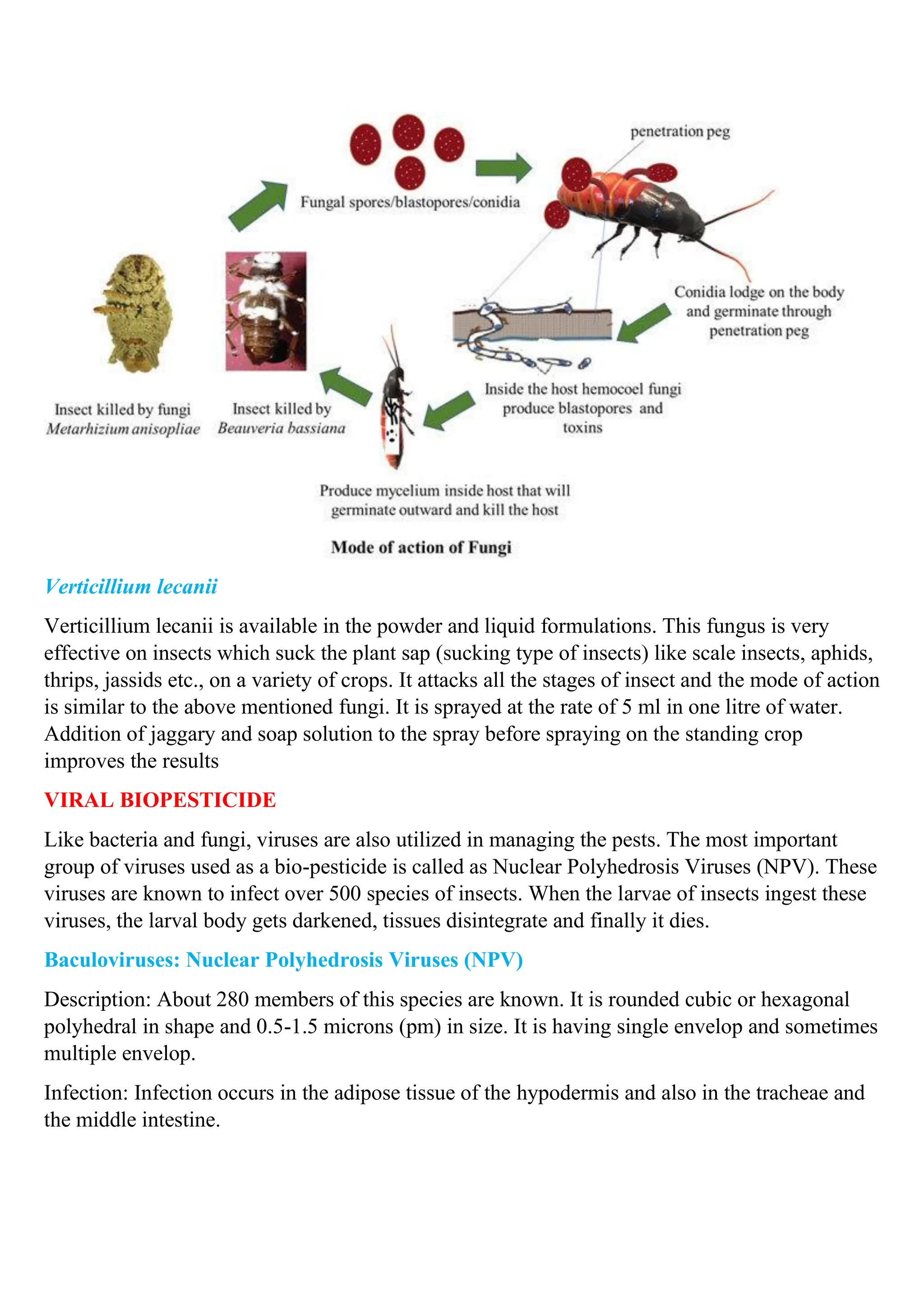 Microbial pesticide.Microbial pesticides consist of a microorganism (e ...