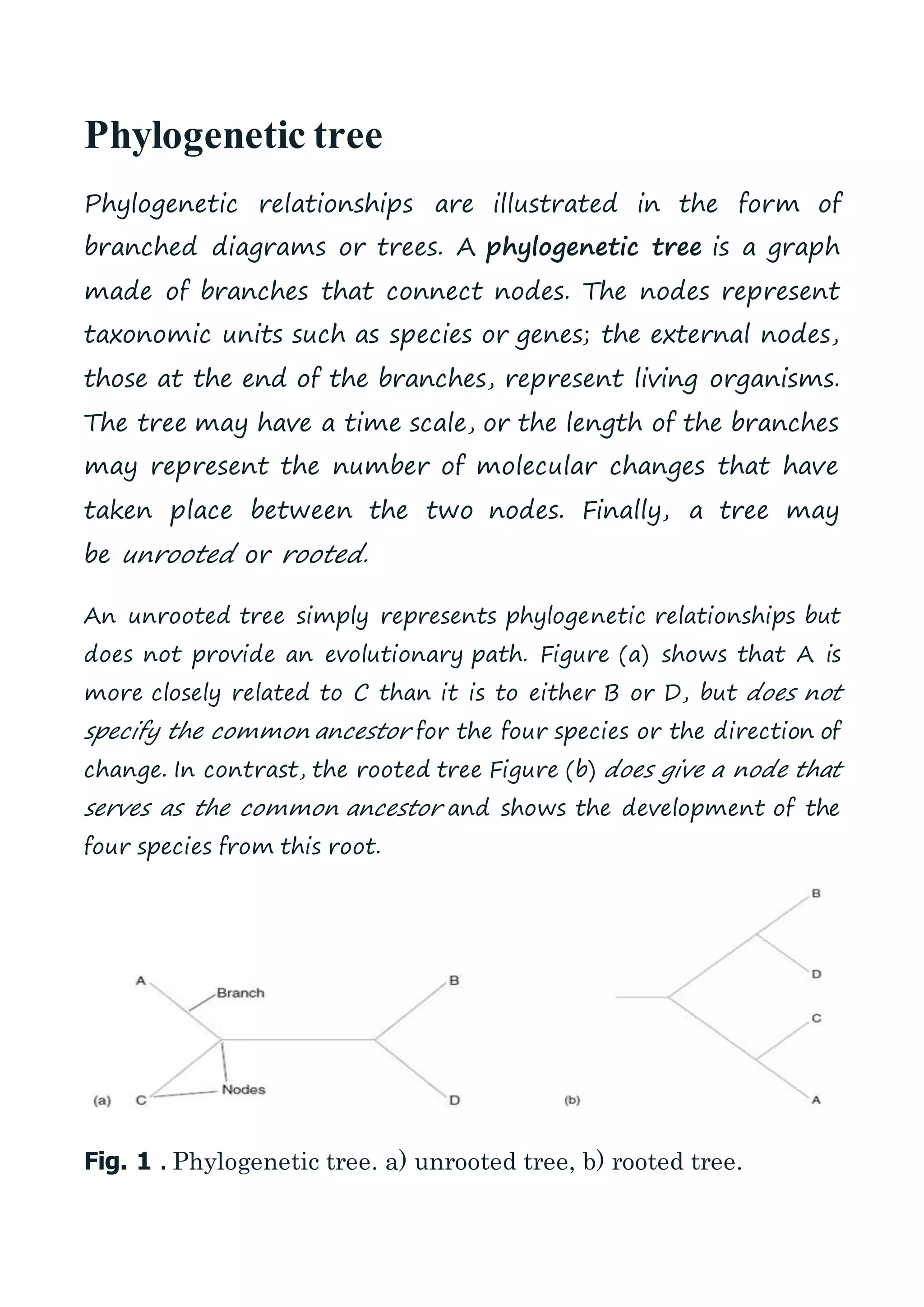Microbial phylogeny | DOCX