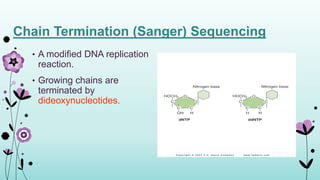 Microbial physiology in genomic era | PPTX