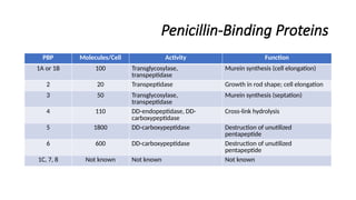 Penicillin-Binding Proteins
PBP Molecules/Cell Activity Function
1A or 1B 100 Transglycosylase,
transpeptidase
Murein synthesis (cell elongation)
2 20 Transpeptidase Growth in rod shape; cell elongation
3 50 Transglycosylase,
transpeptidase
Murein synthesis (septation)
4 110 DD-endopeptidase, DD-
carboxypeptidase
Cross-link hydrolysis
5 1800 DD-carboxypeptidase Destruction of unutilized
pentapeptide
6 600 DD-carboxypeptidase Destruction of unutilized
pentapeptide
1C, 7, 8 Not known Not known Not known
 
