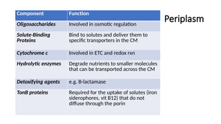 Periplasm
Component Function
Oligosaccharides Involved in osmotic regulation
Solute-Binding
Proteins
Bind to solutes and deliver them to
specific transporters in the CM
Cytochrome c Involved in ETC and redox rxn
Hydrolytic enzymes Degrade nutrients to smaller molecules
that can be transported across the CM
Detoxifying agents e.g. B-lactamase
TonB proteins Required for the uptake of solutes (iron
siderophores, vit B12) that do not
diffuse through the porin
 