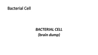 Bacterial Cell
BACTERIAL CELL
(brain dump)
 