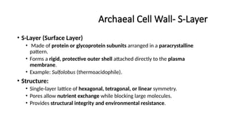 Archaeal Cell Wall- S-Layer
• S-Layer (Surface Layer)
• Made of protein or glycoprotein subunits arranged in a paracrystalline
pattern.
• Forms a rigid, protective outer shell attached directly to the plasma
membrane.
• Example: Sulfolobus (thermoacidophile).
• Structure:
• Single-layer lattice of hexagonal, tetragonal, or linear symmetry.
• Pores allow nutrient exchange while blocking large molecules.
• Provides structural integrity and environmental resistance.
 