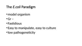 The E.coli Paradigm
•model organism
•Gr –
•Fastidious
•Easy to manipulate, easy to culture
•low pathogeneticity
 
