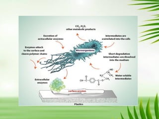 MICROBIAL PLASTICS on environmental microbiology | PDF