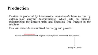 Production
• Dextran is produced by Leuconostoc mesenteroids from sucrose by
extra-cellular enzyme dextransucrase, which acts on sucrose,
polymerizing the glucose units and liberating free fructose in the
medium.
• Fructose molecules are utilized for energy and growth.
Sucrose Polymerization of glucose Free Fructose
dextransucrase
Energy & Growth
 