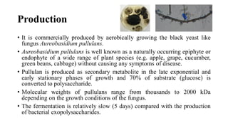 Production
• It is commercially produced by aerobically growing the black yeast like
fungus Aureobasidium pullulans.
• Aureobasidium pullulans is well known as a naturally occurring epiphyte or
endophyte of a wide range of plant species (e.g. apple, grape, cucumber,
green beans, cabbage) without causing any symptoms of disease.
• Pullulan is produced as secondary metabolite in the late exponential and
early stationary phases of growth and 70% of substrate (glucose) is
converted to polysaccharide.
• Molecular weights of pullulans range from thousands to 2000 kDa
depending on the growth conditions of the fungus.
• The fermentation is relatively slow (5 days) compared with the production
of bacterial exopolysaccharides.
 