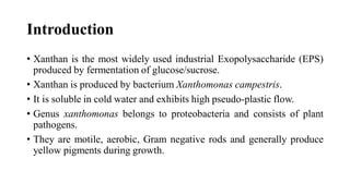 Introduction
• Xanthan is the most widely used industrial Exopolysaccharide (EPS)
produced by fermentation of glucose/sucrose.
• Xanthan is produced by bacterium Xanthomonas campestris.
• It is soluble in cold water and exhibits high pseudo-plastic flow.
• Genus xanthomonas belongs to proteobacteria and consists of plant
pathogens.
• They are motile, aerobic, Gram negative rods and generally produce
yellow pigments during growth.
 