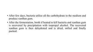 • After few days, bacteria utilize all the carbohydrate in the medium and
produce xanthan gum.
• After the fermentation, broth if heated to kill bacteria and xanthan gum
is recovered by precipitation with isopropyl alcohol. The recovered
xanthan gum is then dehydrated and is dried, milled and finally
packed.
 