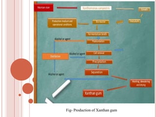 Fig- Production of Xanthan gum
 
