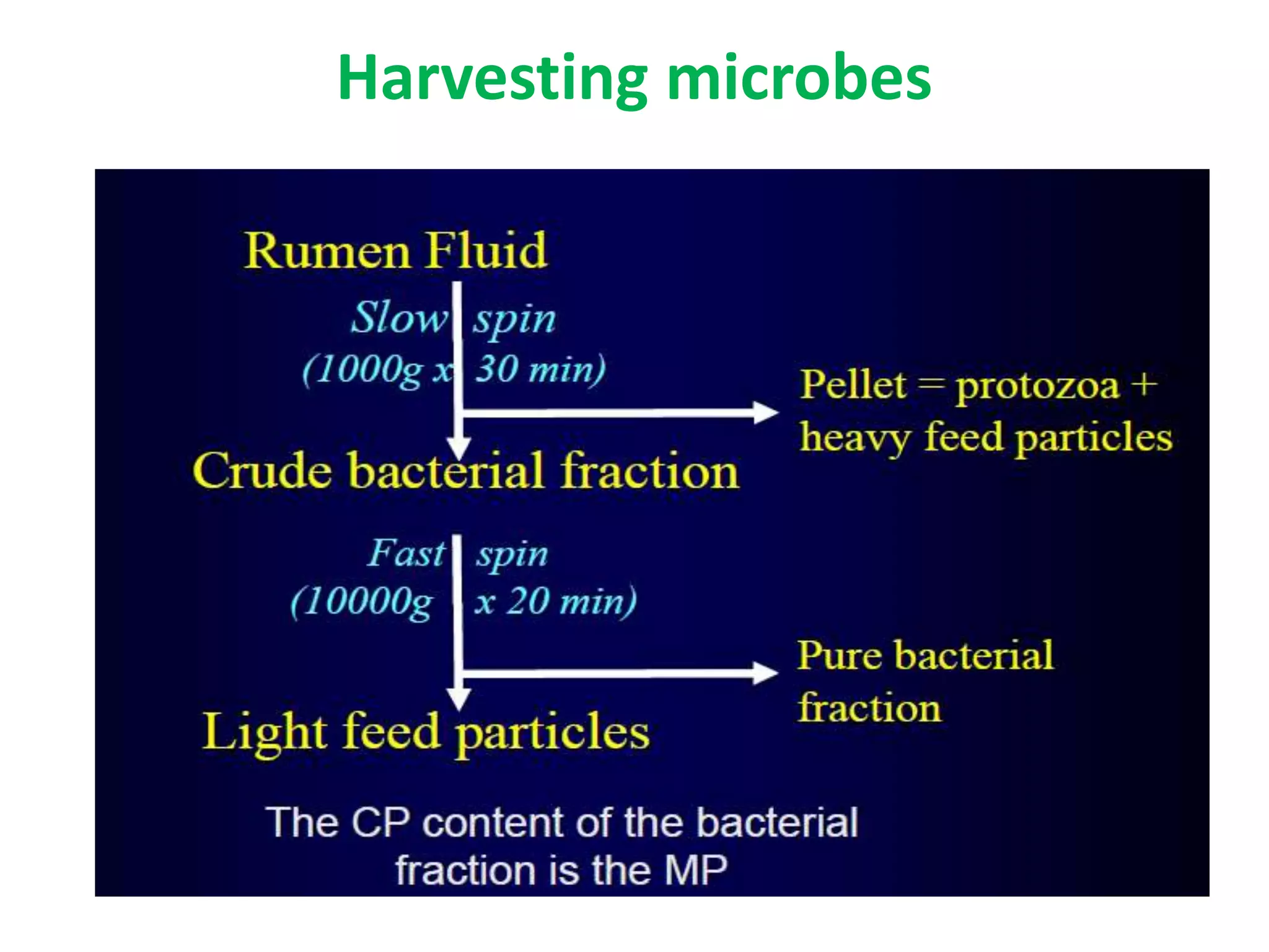 Harvesting microbes
 