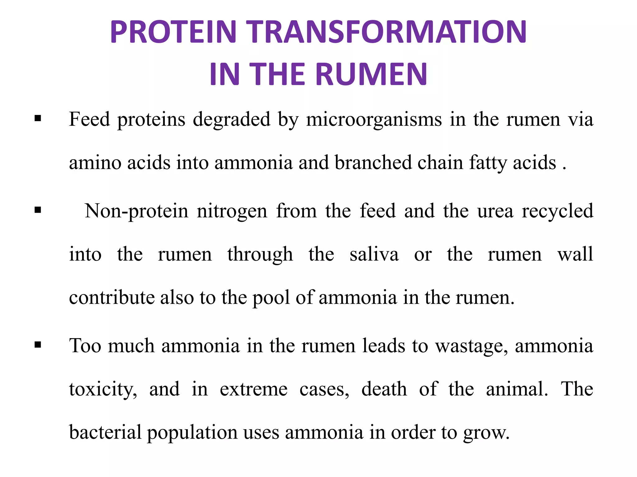 PROTEIN TRANSFORMATION
IN THE RUMEN
 Feed proteins degraded by microorganisms in the rumen via
amino acids into ammonia and branched chain fatty acids .
 Non-protein nitrogen from the feed and the urea recycled
into the rumen through the saliva or the rumen wall
contribute also to the pool of ammonia in the rumen.
 Too much ammonia in the rumen leads to wastage, ammonia
toxicity, and in extreme cases, death of the animal. The
bacterial population uses ammonia in order to grow.
 