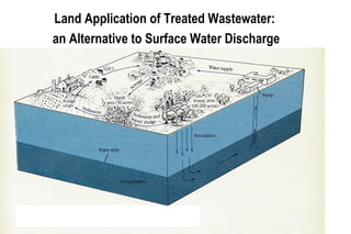 Microbial removal during sewage treatment